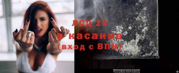 сатива Белоозёрский