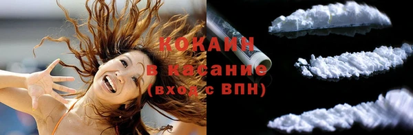 сатива Белоозёрский