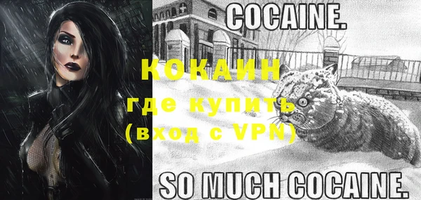 прущие грибы Балахна