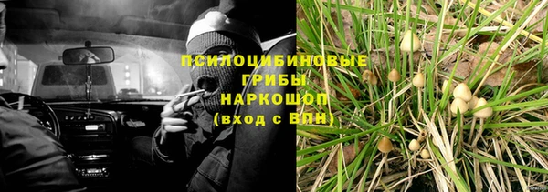 экстази Белокуриха