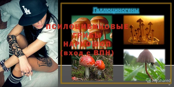 сатива Белоозёрский