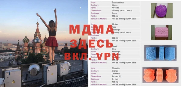 дживик Инта