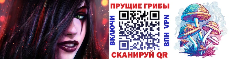 Псилоцибиновые грибы Psilocybe  дарнет шоп  Армавир 