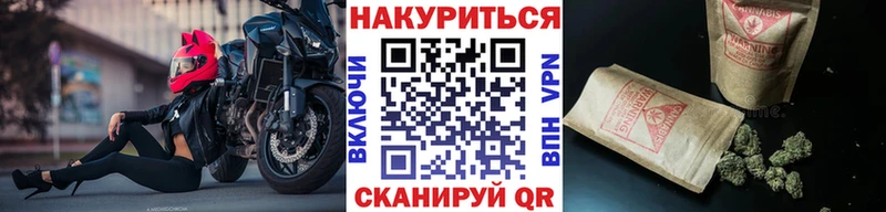 купить наркоту  Армавир  Бошки Шишки AK-47 